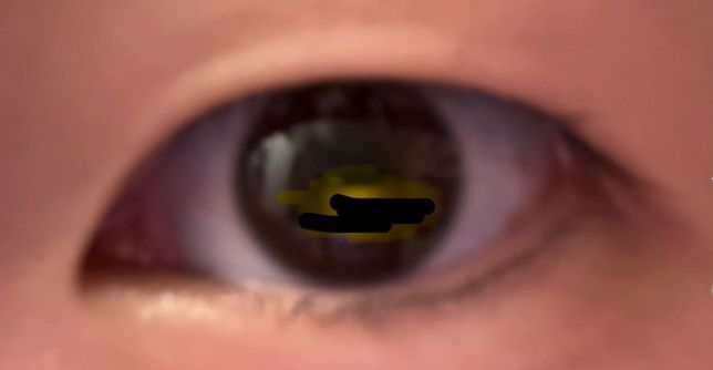 졸업사진 찍는데 오렌즈 폴링초코 너무 개눈일까요?의 1번 째 이미지