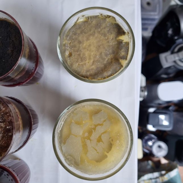 곰팡이의 용존산소량의 유무가 있는지의 0번 째 이미지