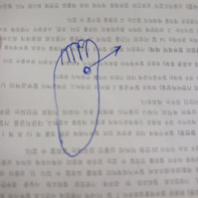 여기가 아픈건 왜그럴가요 가만히 있을 때 보다 걸을 때 아픈대요 초음파 있는 한의원으로 가서 진료받아도 될가요?의 0번 째 이미지