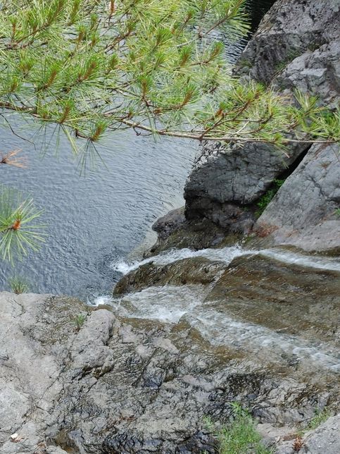 물까마귀는 정말 잠수나 수영도 잘해요?의 2번 째 이미지