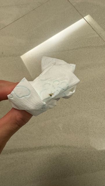 집에서 자꾸 나오는 벌레 이름 좀 알려주세요의 1번 째 이미지