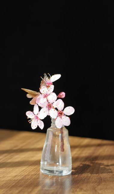 여름 보내든 방법 좀 있으면 가르쳐 주세요!의 0번 째 이미지