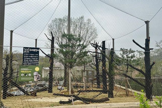전북 전주<mark>동물</mark>원 천연기념물 보존관과 경북 영양 멸종위기종복원센터에서 맹금류들을 활공훈련 시킨다면 살아있는 <mark>동물</mark>로 사냥본능을 기르게 할 수도 있나요?의 2번 째 이미지