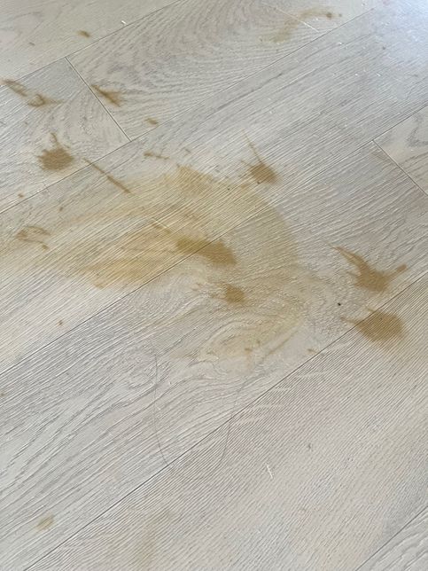 7년째 살다가 이사가려는데 장판 원상복구 하라는 주인의 1번 째 이미지