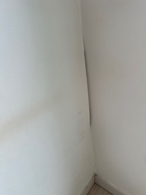 월세 계약후 도배와 하자 부분 협의를 해주는 지 궁금합니다.의 1번 째 이미지