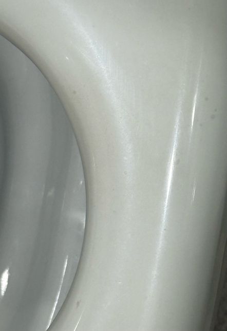 이사 갈 집 변기에 얼룩착색 뭘까요???의 0번 째 이미지