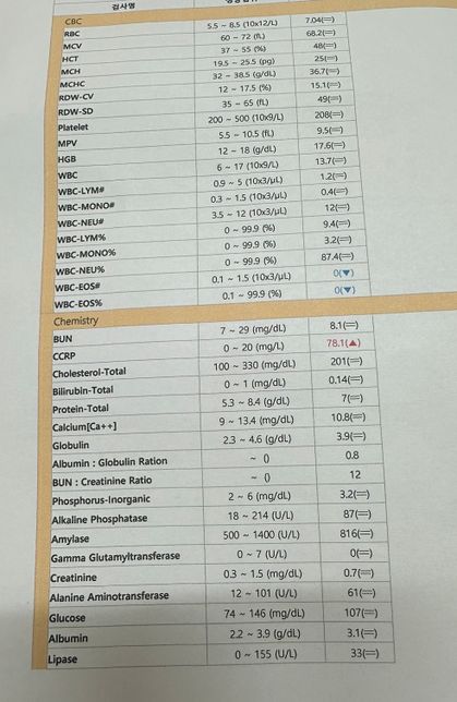 강아지 염증수치가 200인데 일반 장염도 이럴수 있나요?의 0번 째 이미지