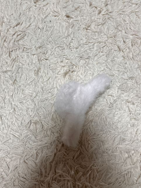 에브리타임 게시물에 저를 비난하는 글과 인신공격을 받았습니다 명예훼손이 성립 될까요?의 2번 째 이미지