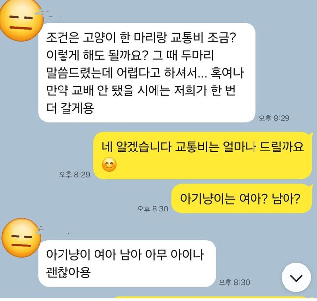 고양이 교배 후 새끼의 선택권 다툼문제의 0번 째 이미지