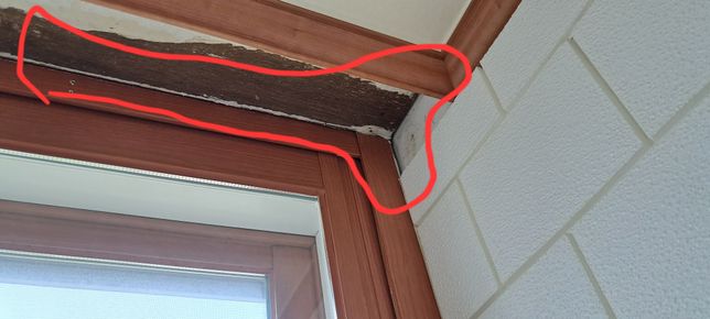 포리졸 벽지 또는 폼브릭에 발라도 되는지요?의 0번 째 이미지