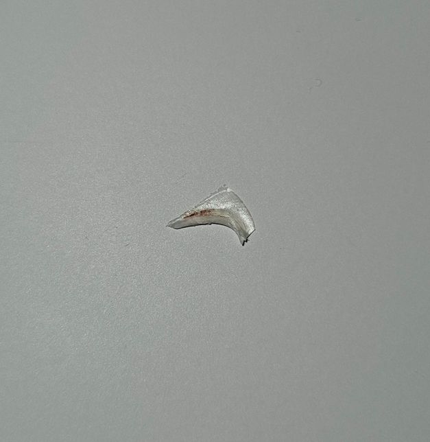 고양이에게서 자꾸 이상한 것이 나오는데,,, 이게 무엇인가요?의 1번 째 이미지