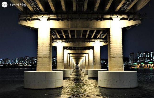 교량의 기둥을 이런 형태로 짓는 이유가 무엇인가요?의 0번 째 이미지