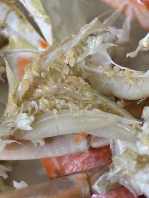 숫꽃게인데 알같은게 있어요 이게 뭔가요 ?의 0번 째 이미지