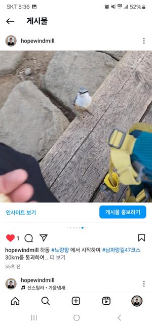 오늘 등산하다 만났는데 무슨 새인가요?의 0번 째 이미지