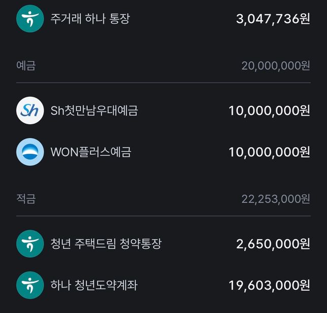 사회초년생 자산 평가와 조언 부탁드립니다.의 0번 째 이미지