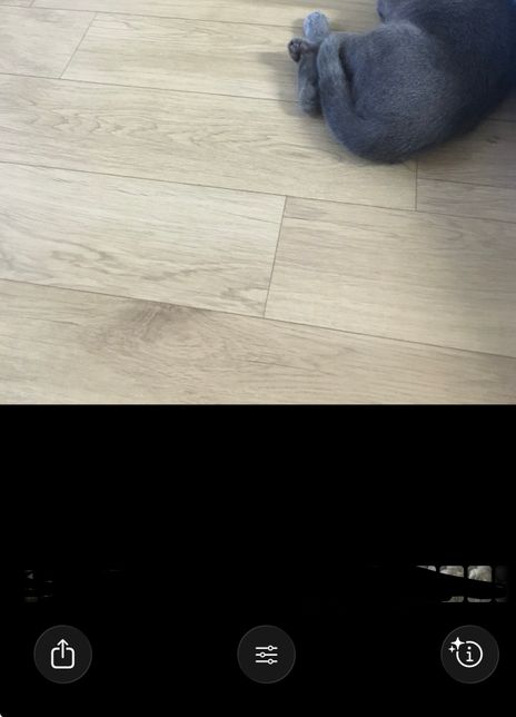 아이폰 사진 앱 사진삭제가 안돼요….의 0번 째 이미지