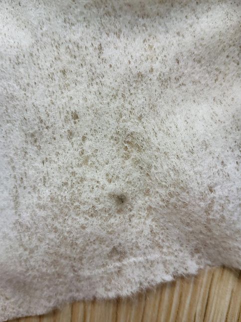 물티슈 먼지 묻은건지 곰팡이인지 봐주세요의 0번 째 이미지