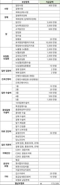 30초 남성 암보험 괜찮은걸까요? 아예 새로 제안서받아야 할까요?의 0번 째 이미지