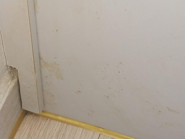 이건 곰팡이인가요? 담배때인가요?의 0번 째 이미지