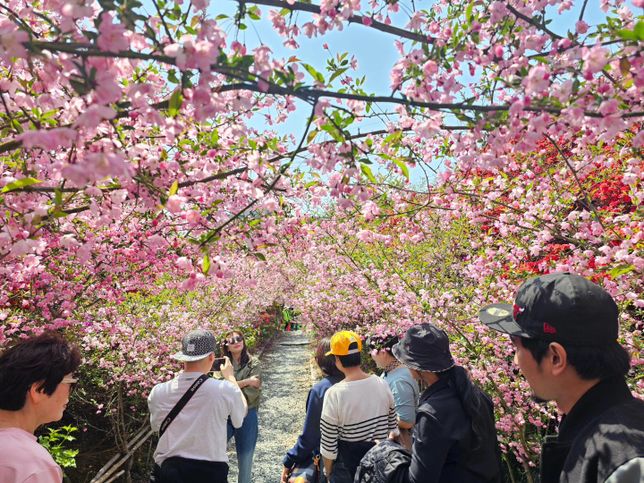 국내휴가 어디가 좋을지 추천해주세요의 0번 째 이미지