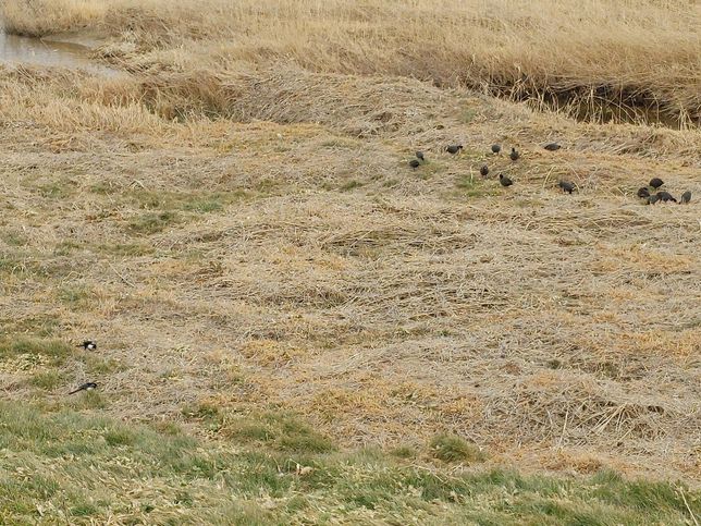 설 전날에 사람들이 무엇때문에 몹시 예민해져 있어요?의 2번 째 이미지