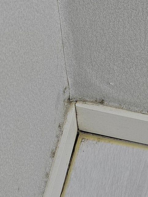 월세 임차인 퇴실시 벽지 변색, 곰팡이 질문드립니다의 2번 째 이미지