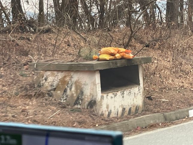 차 타고 놀러가는 길, 길가에서 이런 것을 봤는데 ... 뭔지 아시나요?의 3번 째 이미지