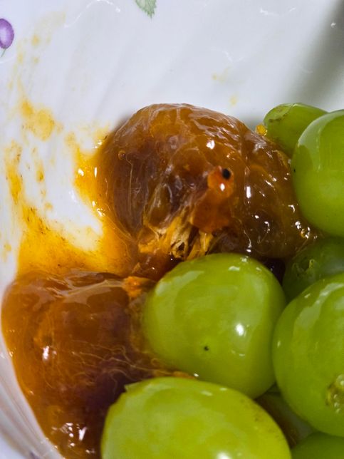 많이 익어서 갈색이 된 홍시 몸에는 이상없나요?의 0번 째 이미지