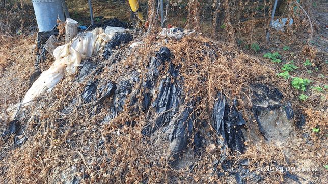 농어촌을 돌아다니다보면 주변에 폐비닐이 많은데요 환경적인 영향은 없는건가요?의 0번 째 이미지