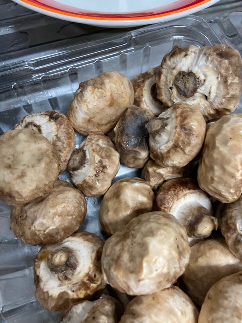 양송이버섯 상태 변한건가요?? ??의 0번 째 이미지