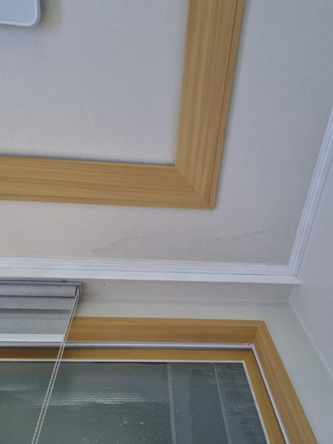 월세 세입자 집안 벽지 결로 고쳐줘야 할까요의 0번 째 이미지