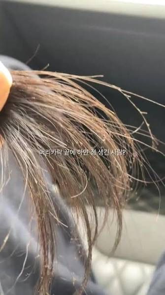 혹시 저만 머리 상한거 때는거 쾌감 쩌나요?의 0번 째 이미지