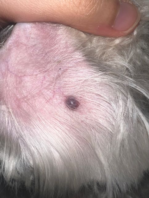 병원 빨리 가야하는게 좋을까요,..?의 1번 째 이미지