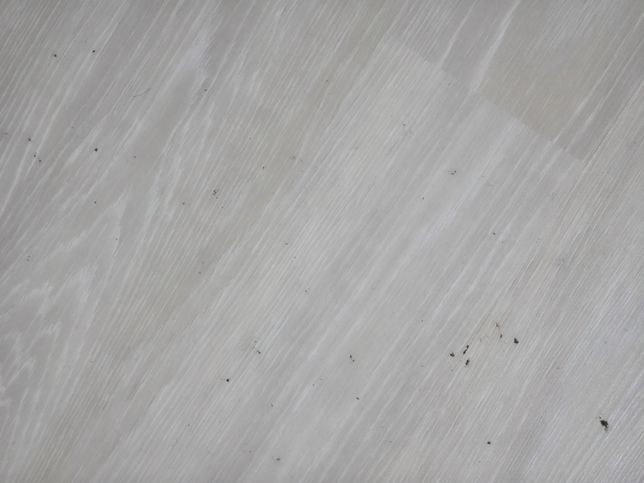 실내에서 벌레 똥 같은게 생겨요, 바퀴똥인가요?의 0번 째 이미지