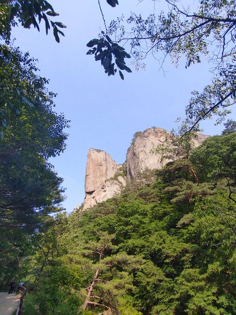 주왕산국립공원에 멸종위기 토종 야생동물을 풀어서 보호구역으로 만들면 어떨까요?의 0번 째 이미지