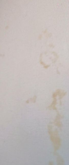 천장이랑 벽에 누수자국인가요. 결로자국인가요.의 1번 째 이미지