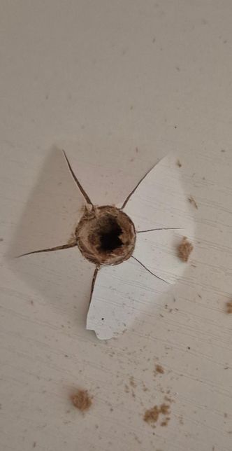 나사 박아둔 나무구멍이 찢어졌어요ㅠㅠㅠ 급해요의 0번 째 이미지