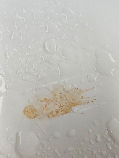 본넷트에 묻은 얼룩 어찌지우나요??의 0번 째 이미지