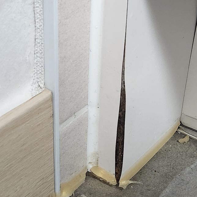 젖어서 부풀어오른 합판가구, 그냥 사용하면 어떻게 되나요?의 0번 째 이미지