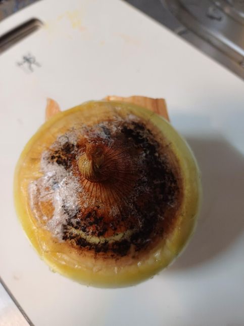 양파에 곰팡이 나면 주변에 있는 것들도 다 버려야 하나요?의 0번 째 이미지