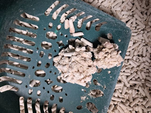 고양이 두부모래에 핑크색 얼룩이 있는데 괜찮은가요?의 1번 째 이미지