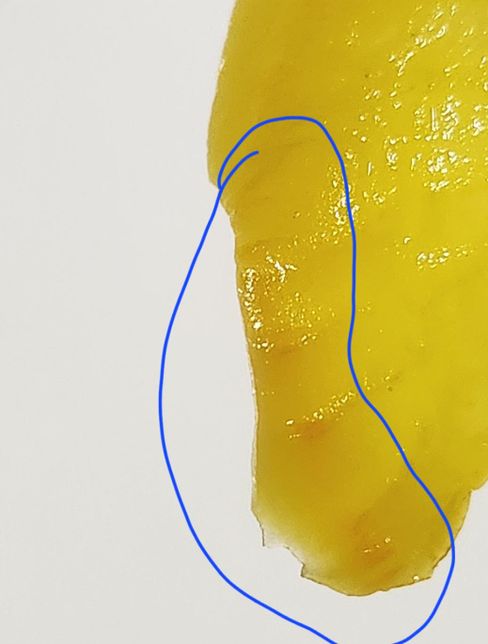 단무지 끝부분이 색이 다른데 왜그럴까요?의 3번 째 이미지