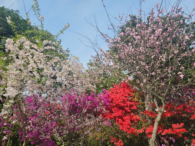 전라도쪽은 어떤 유명관광지가 있나요?의 3번 째 이미지