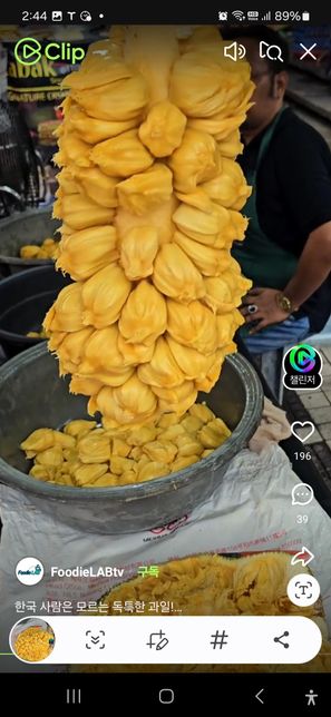 동남아에있는 과일인것 같은데 이름이 무엇일까요?의 0번 째 이미지