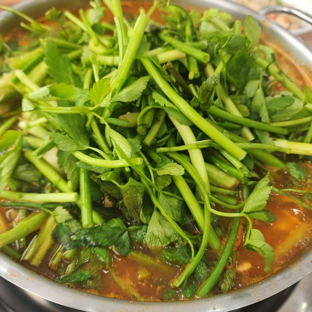 점심 먹으러 민물 매운탕집에 들어왔는데 물고기 이름이 너무 생소한데 빠가와 메기 매운탕 추천해 주시네요.메기는 그나마 알겠는데빠가는 어떤 물고기 인가요?의 1번 째 이미지