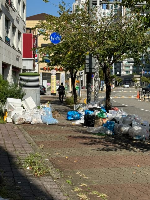 길가에 쓰레기봉투가 너무많고 냄새나요 김포길가입니다의 0번 째 이미지