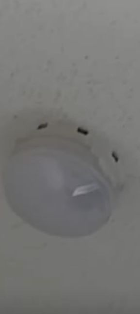 사진속형광등 모델명관련질문합니다의 0번 째 이미지