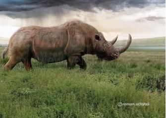 털코뿔소는 왜 학명에 '속이 빈 이빨'을 뜻하는 코엘로돈타(Coelodonta)가 붙었나요?의 2번 째 이미지