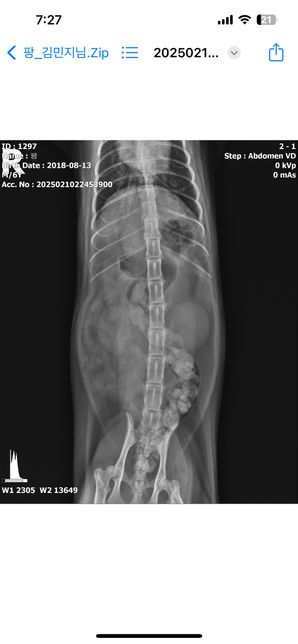 고양이 거품토, 밥안먹음, 대변안눔, 토할때 께에엑 소리의 1번 째 이미지