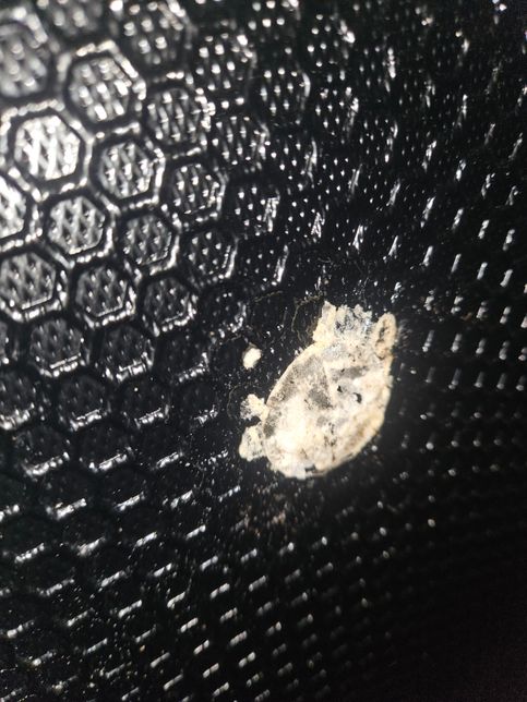 냉장고 후면에 쥐구멍같은게 무엇일까요?의 0번 째 이미지